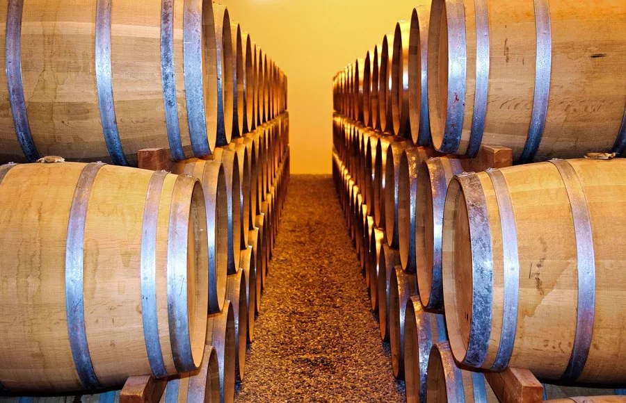 Barricas de roble en la bodega